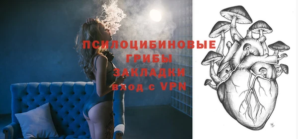 дживик Арсеньев