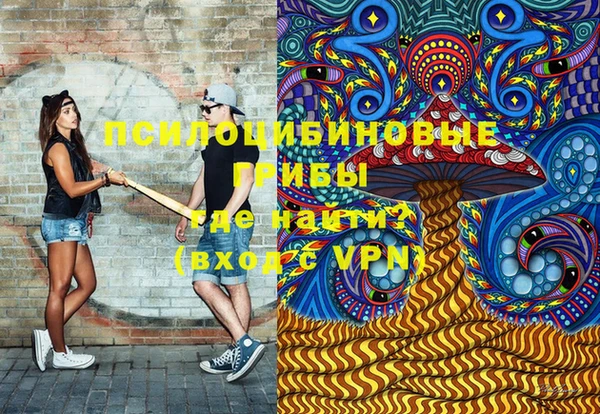 дживик Арсеньев